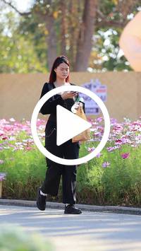 BIB:  <button type="button" onclick="openModal(27584073)" class="btn btn-primary btn-sm float-right" data-toggle="modal" data-target=".modal-high-quality">
                <i class="fa fa-download"></i> Download
                </button>